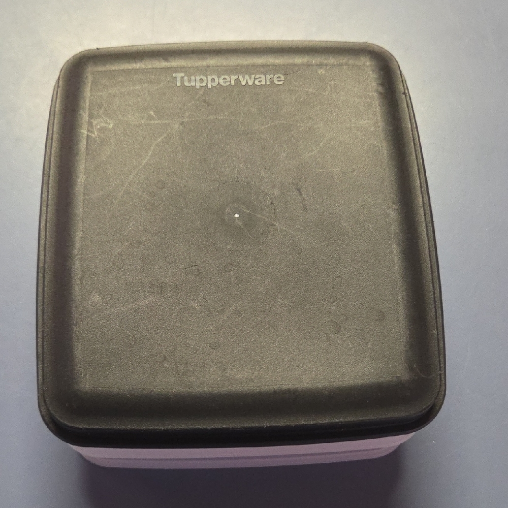 Tupperware Black Square Lunch Meat Container